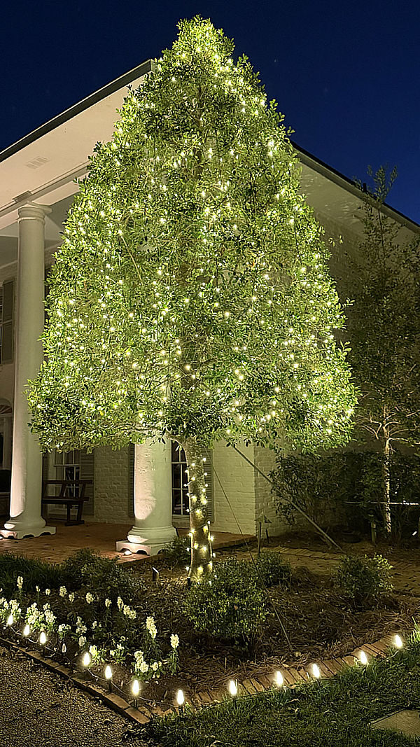 Hooglands Holiday Lighting – 15